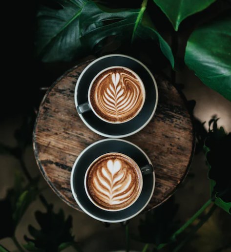 哥斯达黎加咖啡在冲泡时需要注意哪些技巧和温度？ 