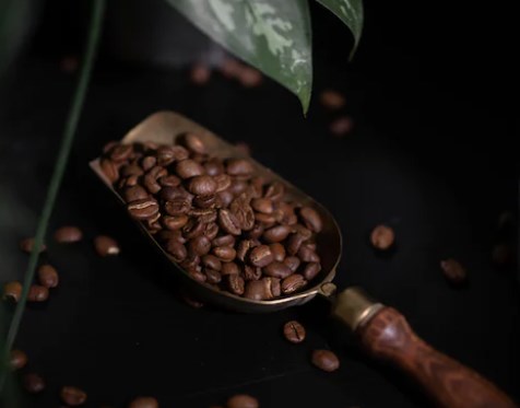 如何制作巧克力卡布奇诺？