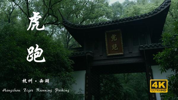 杭州丨虎跑梦泉：治愈人心的绿野烟雨丨4K