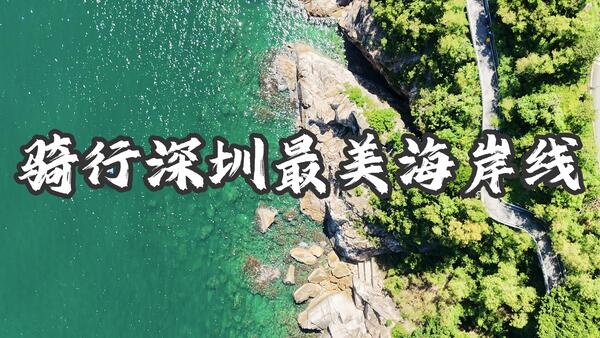 在深圳，一定要体验一次从大梅沙到海贝湾711的沿海骑行！体验超棒的深圳单车坐公交出行