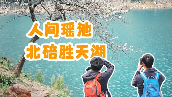 重庆主城最美徒步路线 | 碧蓝湖水+洁白李花 | 北碚胜天湖环湖绝美风景| 走进春天里
